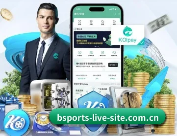 bsport体育 APP 深度功能